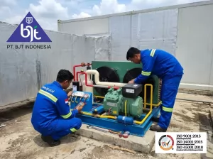 BJT Jasa Instalasi Cold Storage & Freezer Berkualitas